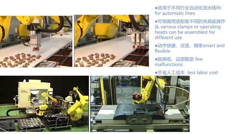 码垛机器人：揭秘其选型关键因素，助力企业智能升级